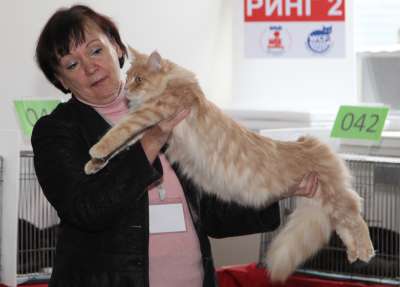 �������� ����� '������� ���-�����' 30 ������-1 ������� 2013., WCF-����� 2635